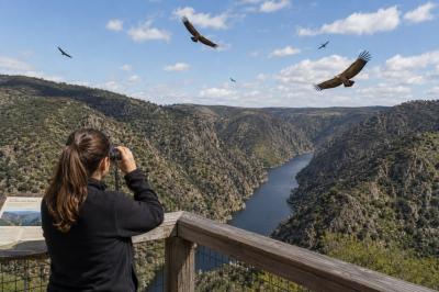 Arribes a vista de buitre