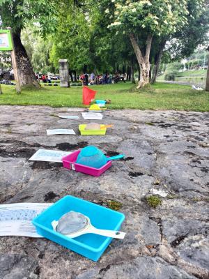 Taller de macroinvertebrados acuáticos