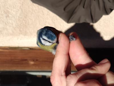 Día Mundial de los Humedales