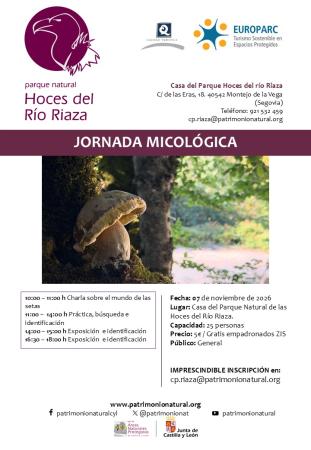 Entre bosques y setas: paseo micológico y exposición para descubrir sus secretos