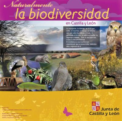 Exposición 