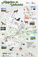Naturaleza en la provincia de Valladolid