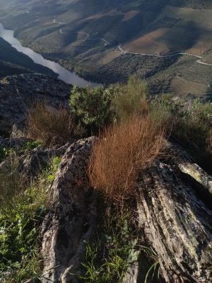 El Geoturismo como oportunidad de desarrollo territorial de áreas naturales