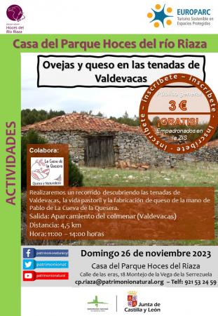 Ovejas y queso en las tenadas de Valdevacas