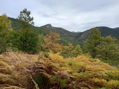 PROGRAMA DE ACTIVIDADES DE OTOÑO