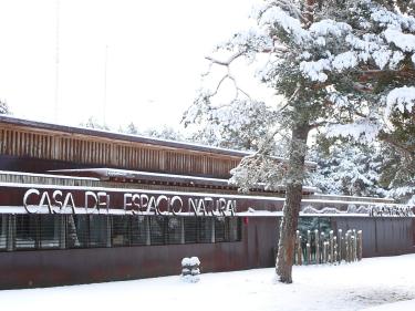 Standard
                        Post with Image