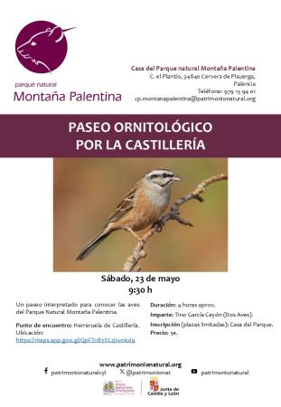 Paseo ornitológico por La Castillería