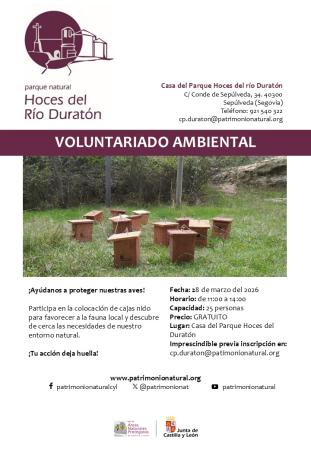 Voluntariado colocación cajas nido