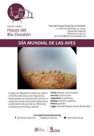 Día Mundial de las aves