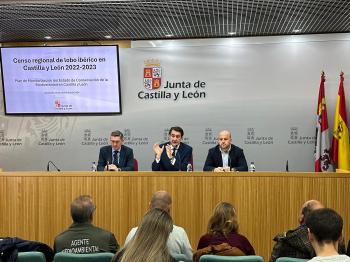 La Junta confirma un incremento de la población de lobo ibérico en Castilla y León con 193 manadas censadas entre los años 2022 y 2023 frente a las 179 del censo de 2012-2013