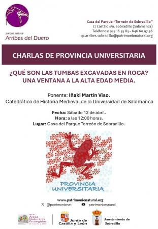 ¿Qué son las tumbas excavadas en roca? Una ventana abierta a la Alta Edad Media