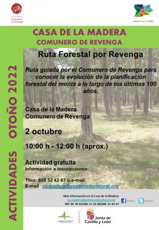 RUTA FORESTAL