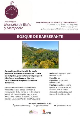 RUTA INTERPRETADA POR EL BOSQUE DE BARBERANTE