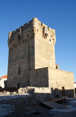 El ulular de los búhos