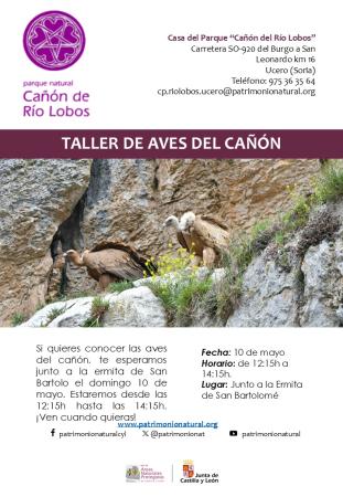 Taller de Aves del Cañón