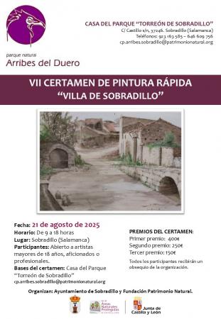 VII Certamen de Pintura Rápida Villa de Sobradillo