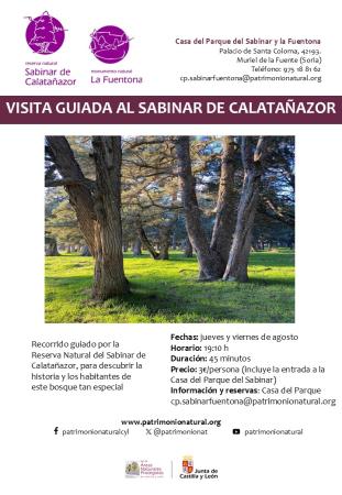 VISITA GUIADA AL SABINAR