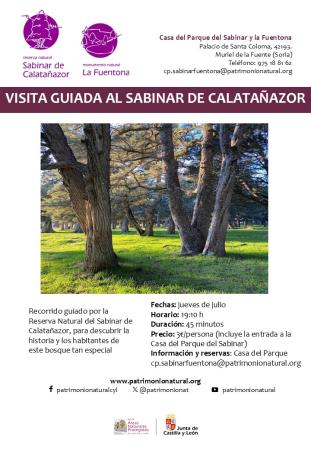 VISITA GUIADA AL SABINAR
