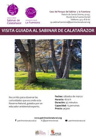 VISITA GUIADA AL SABINAR
