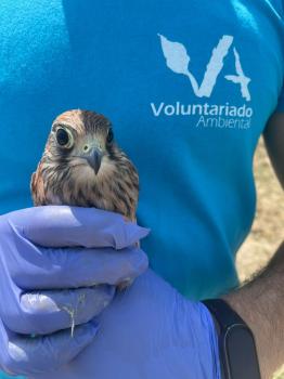 Voluntariado Ambiental en los CRAS