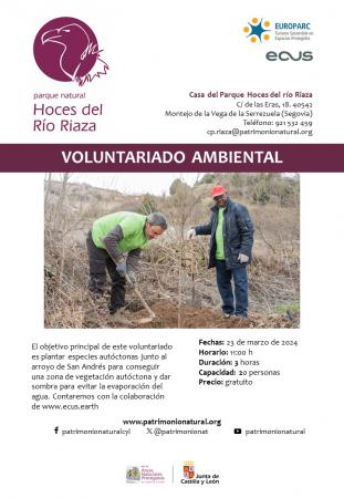 Voluntariado ambiental de plantación en Maderuelo