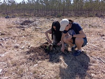 Voluntariado ambiental Día del Árbol 2026
