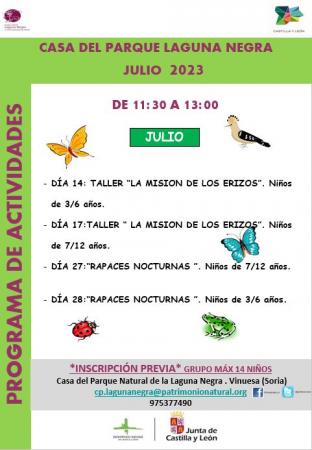 ACTIVIDADES JULIO