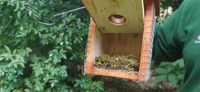 Voluntariado revisión y colocación de cajas nido