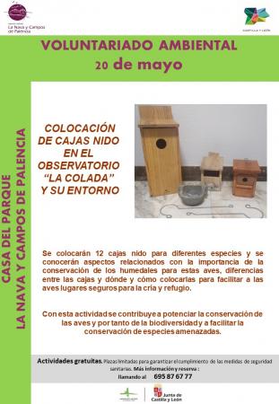Colocación de cajas nido