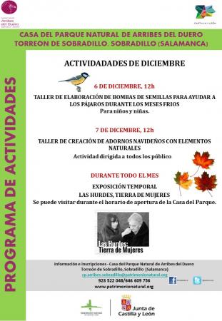 Taller de creación de adornos navideños con elementos naturales