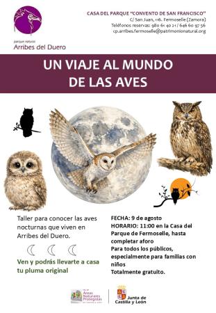 Un viaje al mundo de las aves