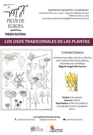 USOS TRADICIONALES DE LAS PLANTAS