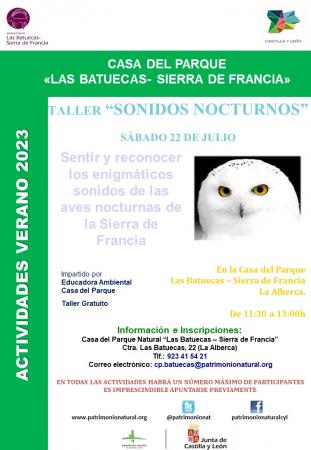 SONIDOS NOCTURNOS