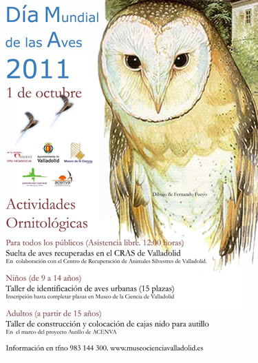 La Fundación Patrimonio Natural, colabora con el Museo de la Ciencia de Valladolid y ACENVA, en el Día Mundial de las Aves