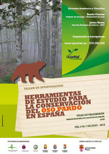 Picos de Europa acogerá en julio un curso sobre la conservación del oso pardo en España 