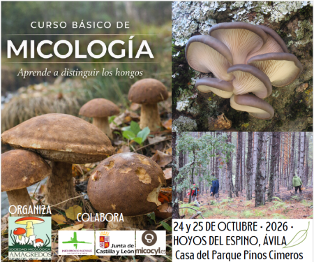 Curso micología 2026