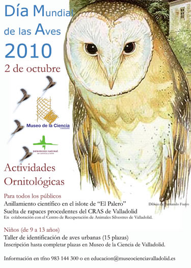 La Fundación Patrimonio Natural y el Museo de la Ciencia de Valladolid, celebran el Día Mundial de las Aves
