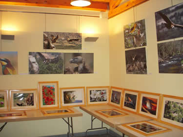 Exposición de Roberto Fernandez en El Barraco