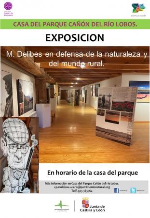 exposicion miguel delibes