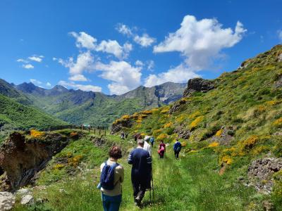 ACTIVIDADES DE VERANO LA FONSEYA - OSEJA DE SAJAMBRE
