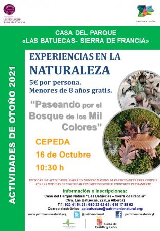 Experiencia en la Naturaleza 