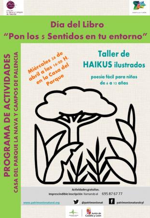 Pon los 5 sentidos en tu entorno