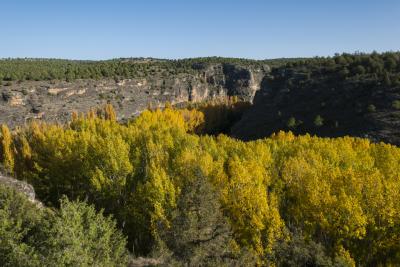 Actividades de octubre