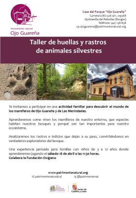 Taller infantil huellas y rastros animales silvestres