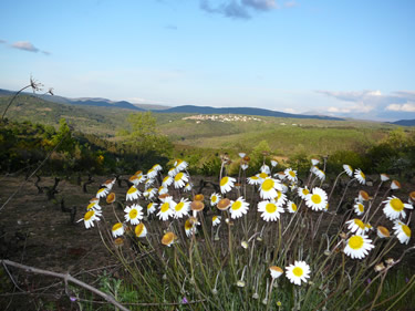 Las Batuecas - Sierra de Francia. Miranda del Castañar.