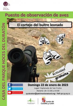 Observación de aves