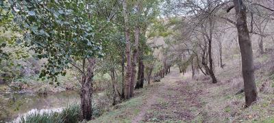 Actividades de Otoño 2024. Tejiendo Arribes