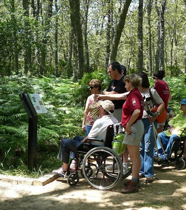 ”la Caixa” y la Fundación adaptan la Senda ‘de los Castaños Centenarios’ para personas con discapacidad