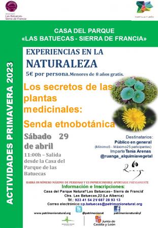 EXPERIENCIAS EN LA NATURALEZA: LOS SECRETOS DE LAS PLANTAS MEDICINALES