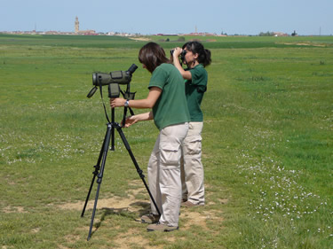 La Fundación Patrimonio Natural de Castilla y León lanza el Programa de Voluntariado Ambiental en Espacios Naturales 2011